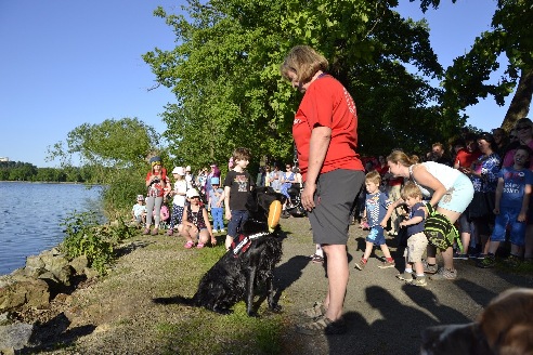 Bambifest, ČEZ, Olšina, ZOO Hluboká