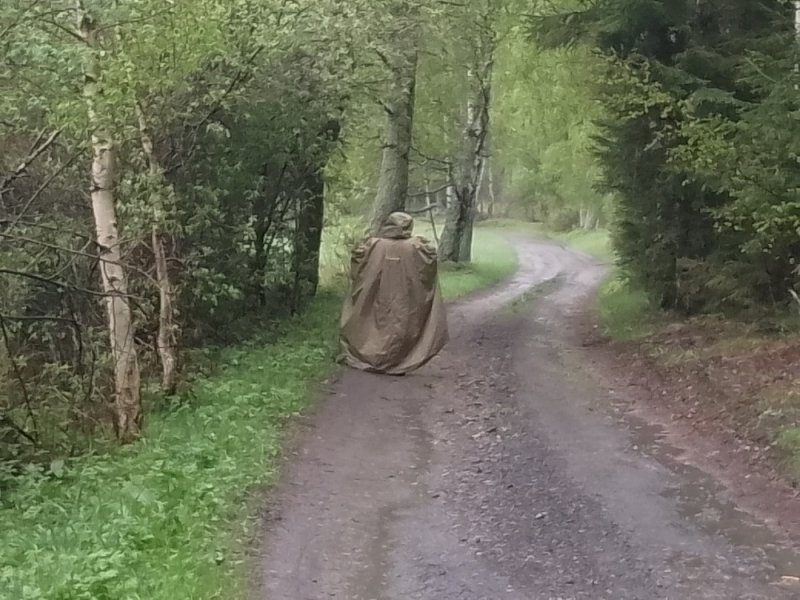Deštivé plochy
