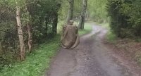 Deštivé plochy